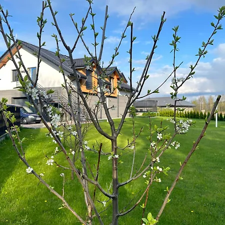 Hamakowelove Lejlighed Dabrowka (Wadowice)