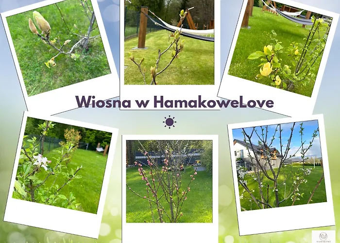 Lägenhet Hamakowelove