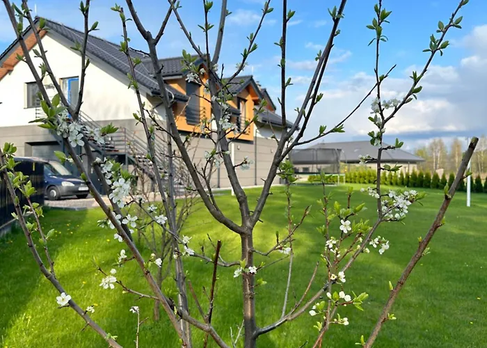 Hamakowelove Lägenhet Dabrowka (Wadowice)